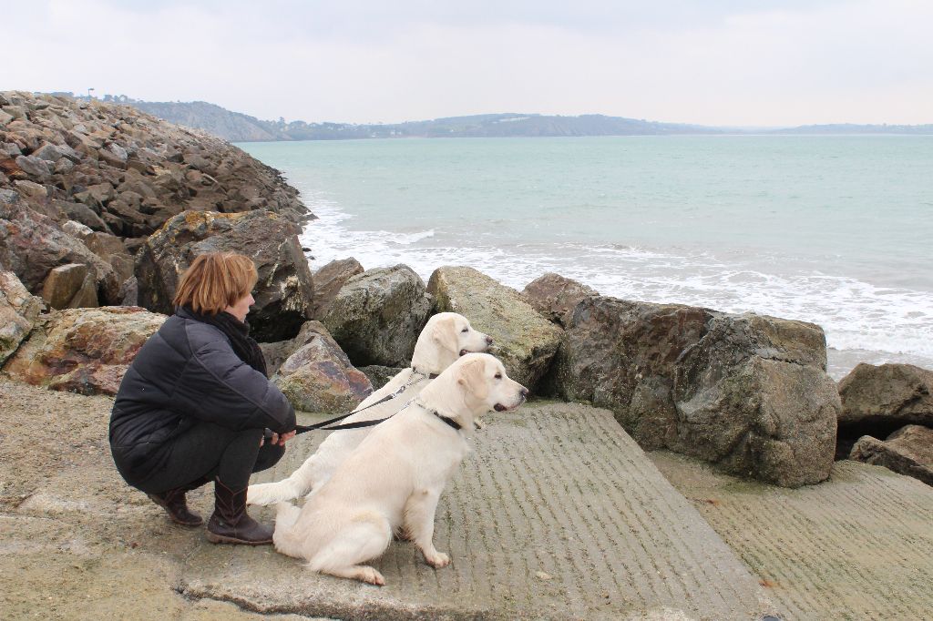 Bretagne Février 2018